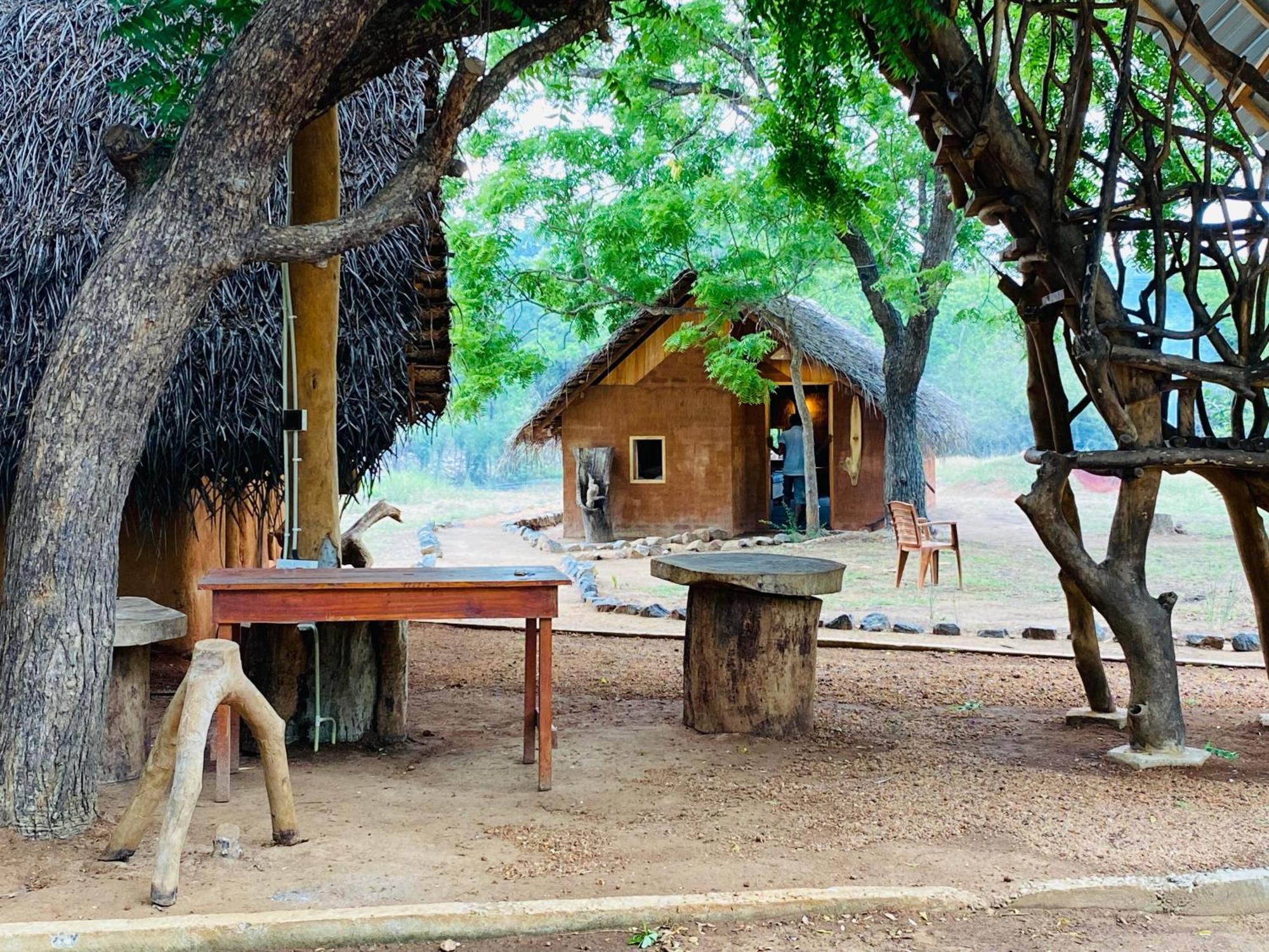 Yala Village Eco Tree House Тиссамахарама Экстерьер фото